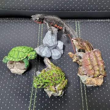 생물대도감 미니 컬렉션 4종 세트