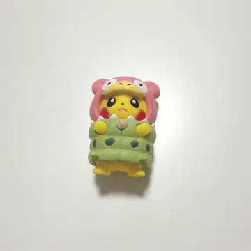 판초를 입은 피카츄 메가 야도란 레어 희귀