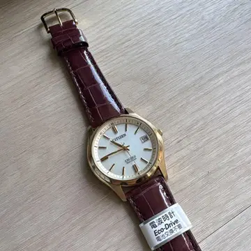 CITIZEN EXCEED Eco-Drive H111-TO15875