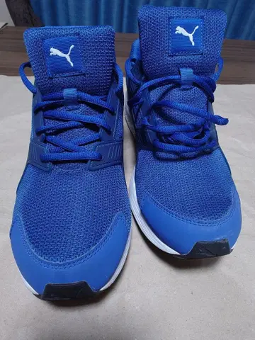 Puma 파랑 러닝화