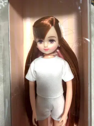 팔레트f 고베 산노미야 BASIC 모델 리카짱 캐슬