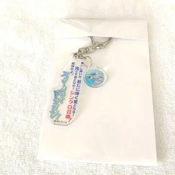 유희왕5D's 후도 유세이 소환 대사 아크릴 키링