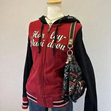 90-00sHarley-Davidson archive parker Y2K