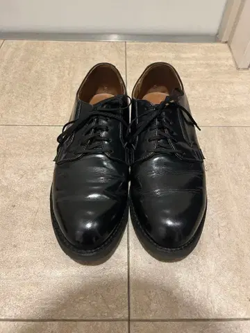 레드윙 포스트맨 101