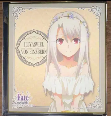 이리야 스탠드 포함 미니 색지 Fate
