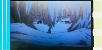 에반게리온 신극장판 초회판 혜택 필름 레이 업 26118