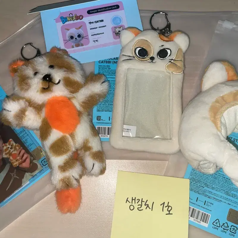 쁘넥도 캣삐