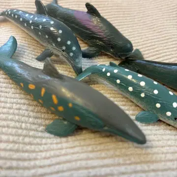 고래 피규어 5개 세트