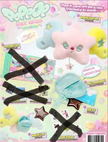 nctwish poppop WICHU 키링 정품