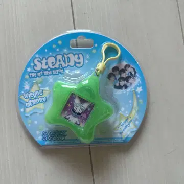 nct wish steady 키링 keyring ver 시온