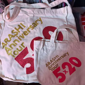 아라시 5 x 20 사쿠라이 쇼