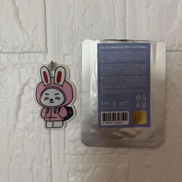 SEVENTEEN MINITEEN 미니틴 에스쿱스 아크릴 키링