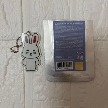 SEVENTEEN MINITEEN 미니틴 에스크프스 아크링 키링