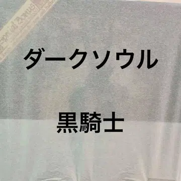 DARK SOULS 다크소울 블랙 나이트 동상 미개봉 새상품