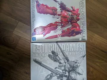 mg 건담 프라모델 프리미엄 반다이 티타늄 피니쉬