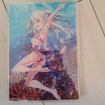 Fate/kaleid liner 이리야 아크릴 스탠드