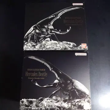 생물 대도감 프리미엄 헤라클레스 헤라클레스 헤라클레스 리키 2마리 세트