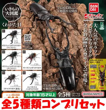 생물대도감 장수풍뎅이 11 전 5종류 컴프 리셋 [ 새상품 ] 가챠