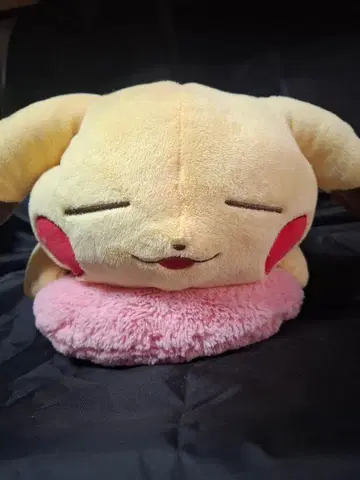 피카츄 너에게 푹 빠졌어 엄청 큰 봉제 인형