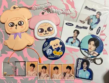 straykids 스키즈 승민 파피무 puppyM 묶음 판매