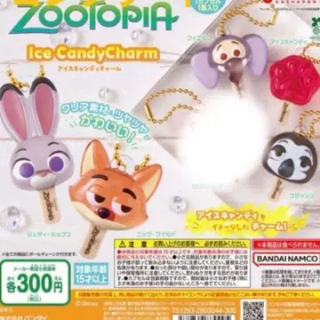 주토피아 아이스캔디 참 세미 컴프