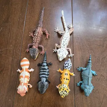 가챠가챠 세트 도마뱀 이구아나 생물대도감 어드밴스 피규어