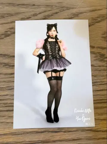 오구리 유이 AKB48 다이마루 도쿄점 대의상전 랜덤 브로마이드