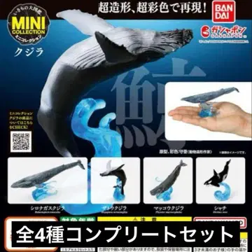 미니 컬렉션 고래 4종 세트