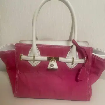 사만사베가 핸드백