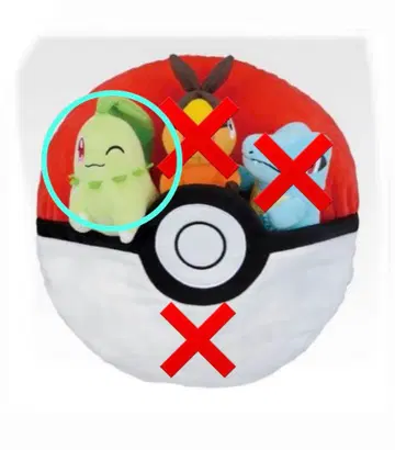 [치코리타만] 포켓몬 제일복권 A상 봉제 인형