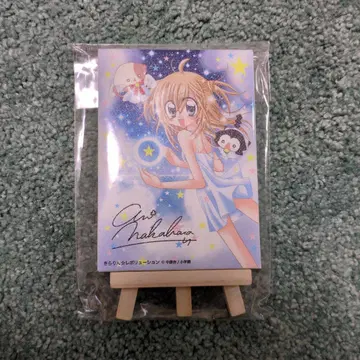 챠오 페스티벌 키라링 레볼루션 미니 캔버스