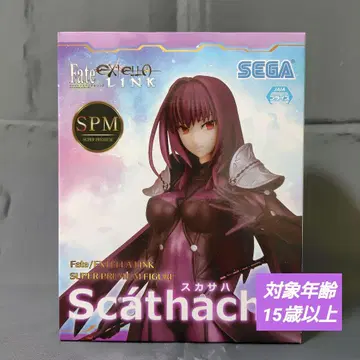 [ 스카사하 ] 페이트/엑스트라 링크 피규어 개봉 완료