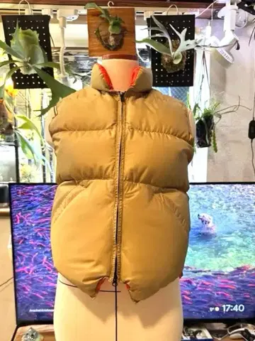 크레센트 다운 웍스 베스트