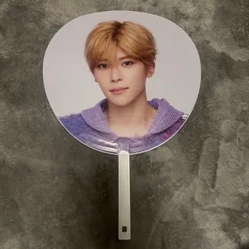 nctwish 시온 부채