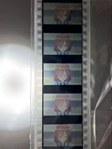 영화 5등분의 신부 생 코마 필름 미쿠 이치카 색지 특전