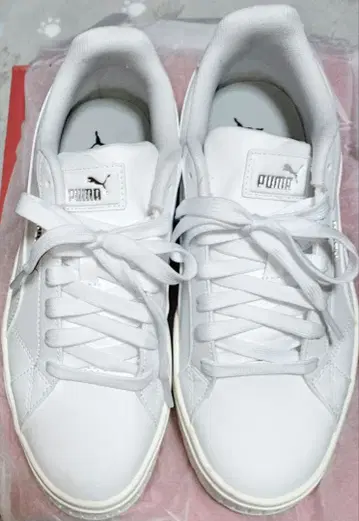 PUMA 카르멘 2 그래픽 화이트 25.5cm