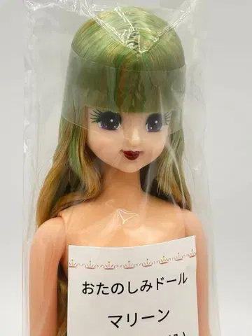 마린 리카짱 캐슬 오타노시미 인형 빨검 립 제니 프렌드