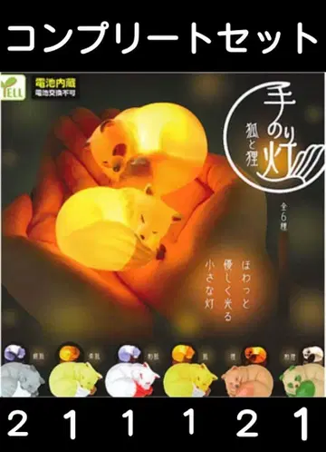 손안의 등불 여우와 너구리