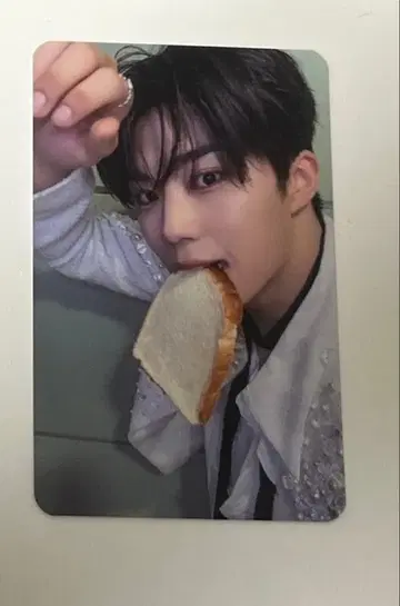 music plant 식빵 럭키 드로우 고누크 트레이딩 카드 zb1