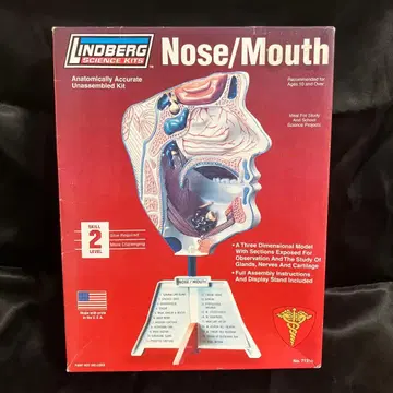 NOSE/MOUTH 린드버그