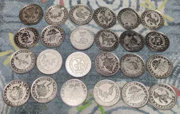 포켓몬 메탈 코인