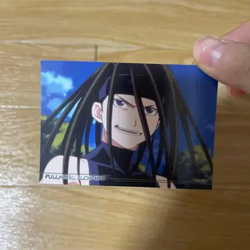 강철의 연금술사 하가렌 엔비 카드