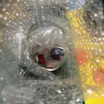 리멘트 포켓몬 테라리움 컬렉션14 조로아&조로아 비취의 모습