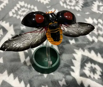 생물대도감 어드밴스 무당벌레 나미무당벌레