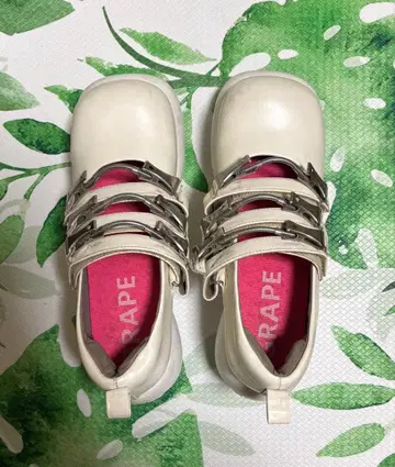 Grape 신발 24cm 레어 화이트 액세서리 포함