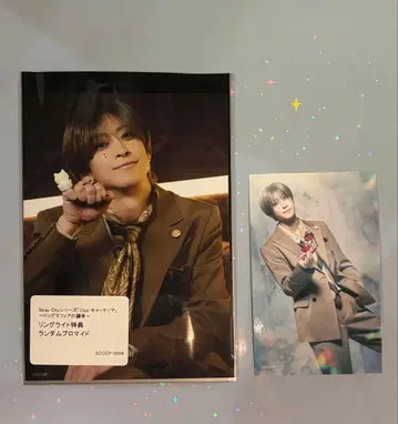 캐터리아 보다콜리 브로마이드 세트