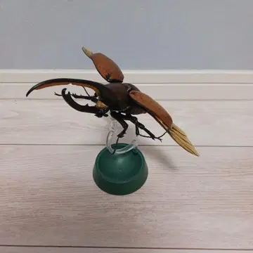 생물대도감 헤라클레스 장수풍뎅이 기타