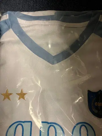 ano 아노짱 T셔츠 유니폼 페스티벌T 라이브 굿즈 L사이즈