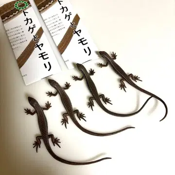 네이처 테크니컬러 카나헤비 피규어 4개 세트 마그넷 포함 가챠