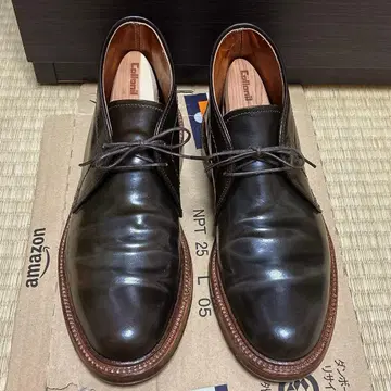 [ 1/23까지 게재 ] Alden 13132 6D 시거 처카 부츠